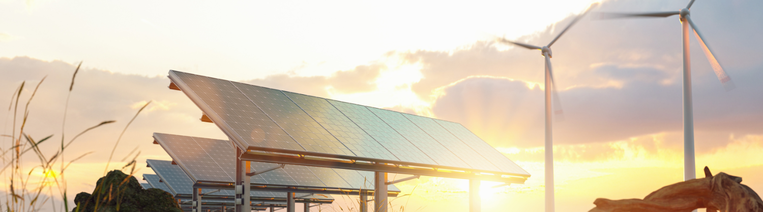 Some solar panels and wind towers in a sunny field