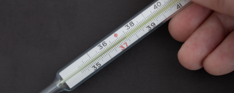 Mercury thermometer